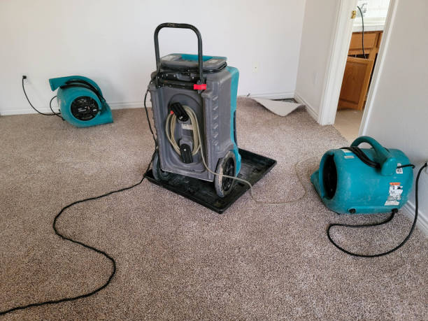 Best Carpet water damage restoration  in Lake Ketchum, WA