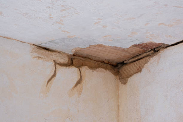 Local water damage restoration in Lake Ketchum, WA