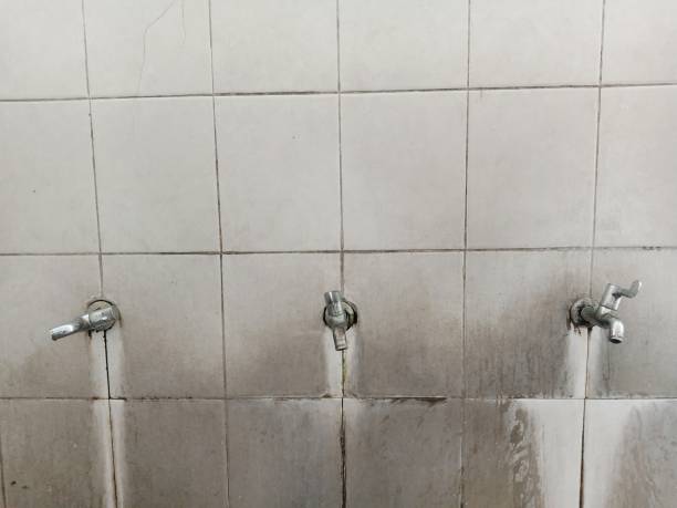 Best Professional water damage repair  in Lake Ketchum, WA