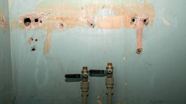 Water damage restoration mold remediation in Lake Ketchum, WA