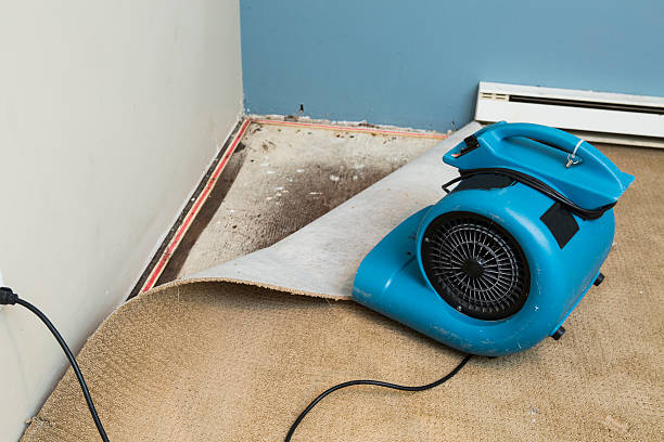 Best Flooded house restoration  in Lake Ketchum, WA